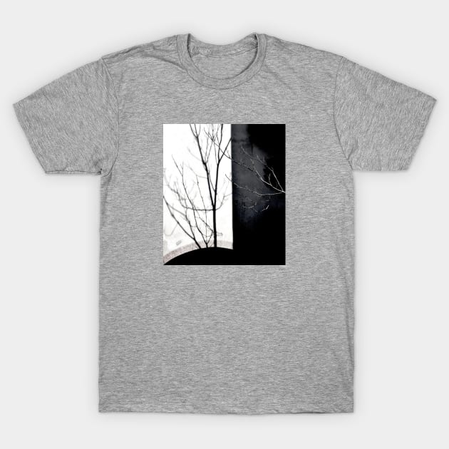 Tree on the Shadow T-Shirt by Kaleidoscope Therapy